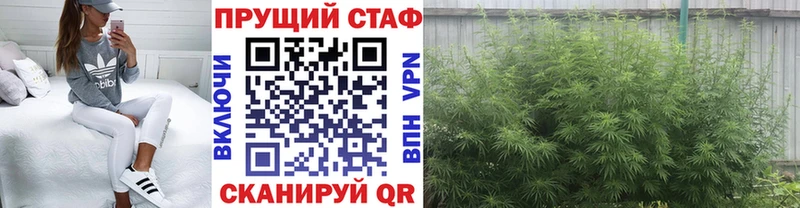 Магазины продажи наркотиков Краснозаводск Кокаин  Альфа ПВП  ГАШ  Каннабис  Меф 