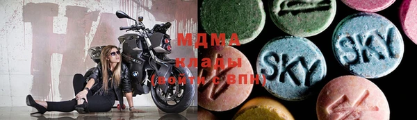 гашик Богданович