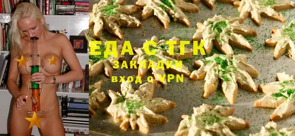 гашик Богданович