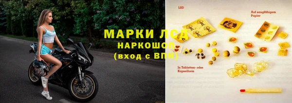 гашик Богданович