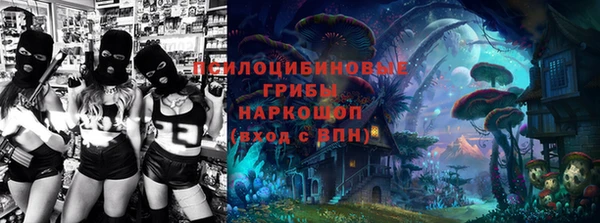 гашик Богданович