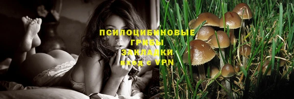 таблы Богородицк