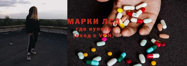 эйфоретик Бородино